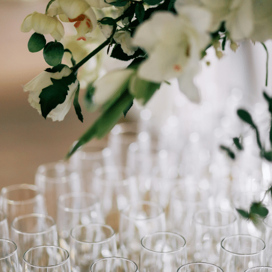 photos-by-lanty-yMY1QE5wpyA-unsplash