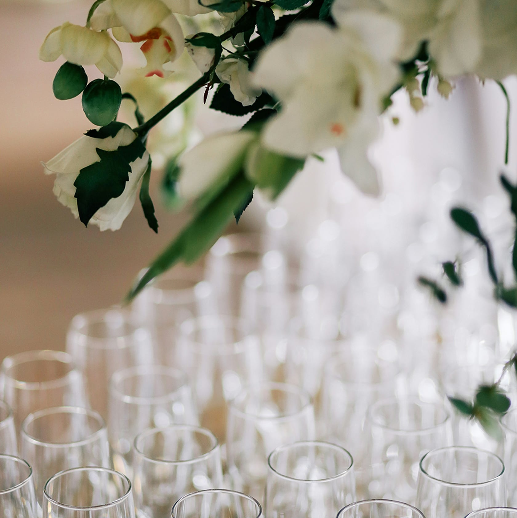 photos-by-lanty-yMY1QE5wpyA-unsplash